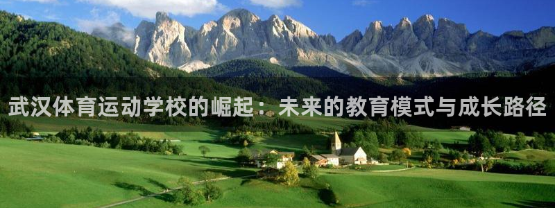 公海赌赌船官网下载平台是正规平台吗：武汉体育运动学校