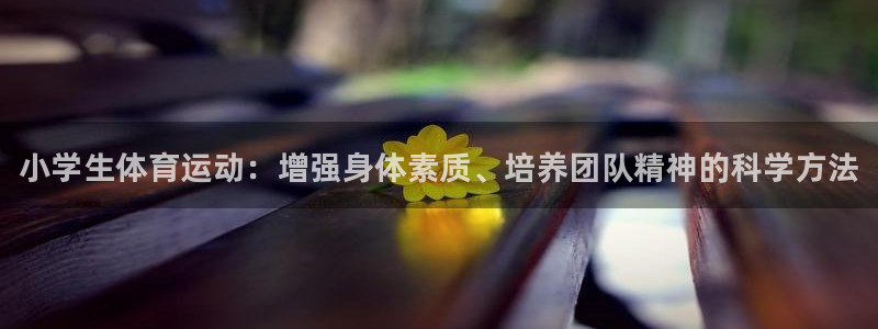 公海赌赌船官网下载招商电话：小学生体育运动：增强身体素质、培
