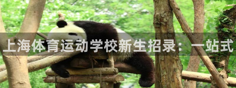 公海赌赌船官方正版app集团官网首页网址：上海体育运动学校新