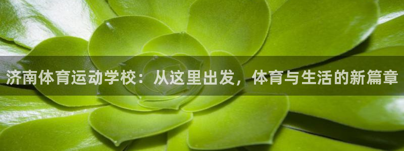 公海赌赌船官网下载平台是正规平台吗：济南体育运动学校：从这里
