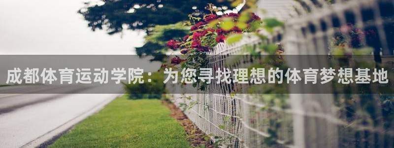 公海赌赌船官方正版app娱乐首页网站大全：成都体育运