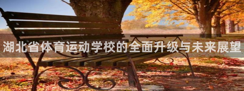 公海赌赌船官方正版app娱乐代理怎么样：湖北省体育运动学校的