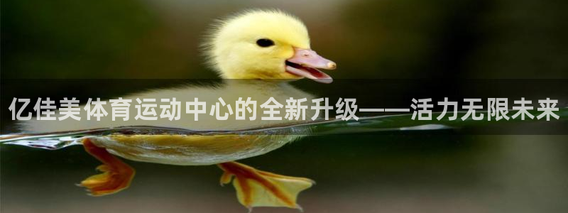 公海赌赌船官网下载平台是正规平台吗：亿佳美体育运动中心的全新