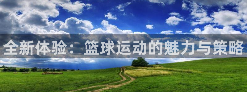 公海赌赌船官方正版app娱乐平台：全新体验：篮球运动的魅力与