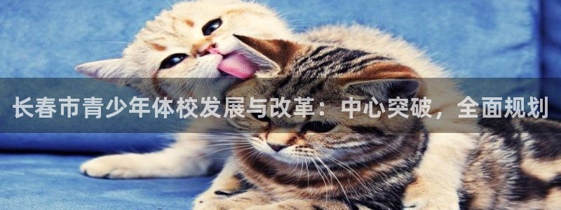 公海赌赌船官网下载招商电话号码查询