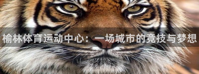 公海赌赌船官网下载平台假的吗是真的吗：榆林体育运动中