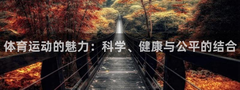 公海赌赌船官方正版app集团logo：体育运动的魅力：科学、