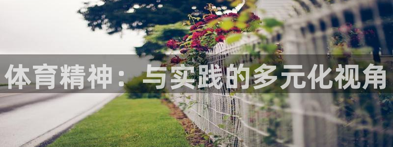 公海赌赌船官网下载招商：体育精神：与实践的多元化视角