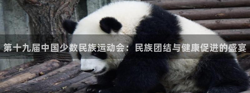 公海赌赌船官方正版app集团官网首页网址：第十九届中