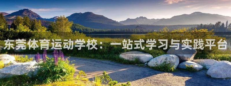 公海赌赌船官网下载招商电话是多少号码：东莞体育运动学