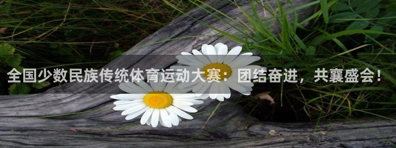 公海赌赌船官方正版app集团E.ON：全国少数民族传