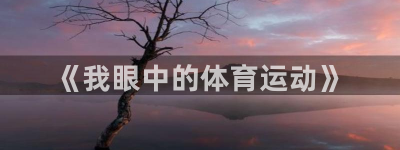 公海赌赌船官网下载招商电话号码查询是多少：《我眼中的体育运动