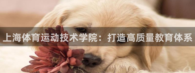 公海赌赌船官方正版app开户：上海体育运动技术学院：打造高质