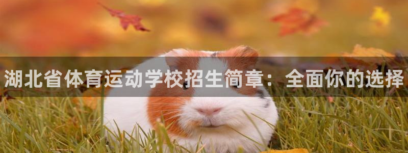 注册公海赌赌船官方正版app：湖北省体育运动学校招生