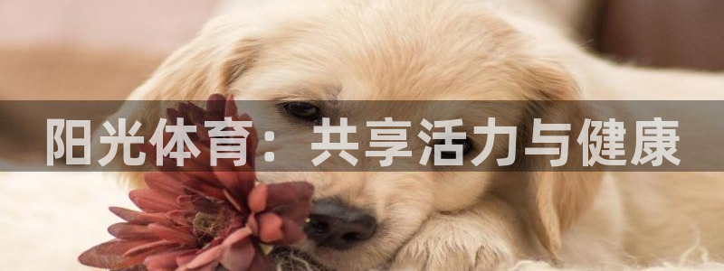 公海赌赌船官方正版app官方：阳光体育：共享活力与健康