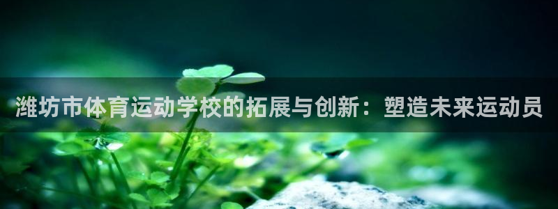 公海赌赌船官方正版app娱乐