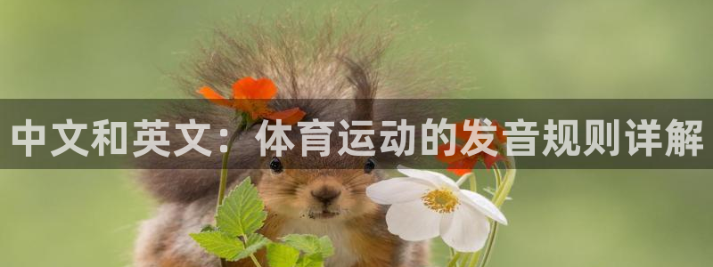 公海赌赌船官方正版app代理：中文和英文：体育运动的发音规则