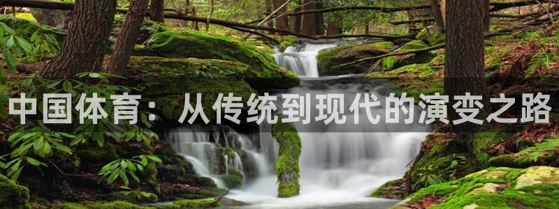公海赌赌船官方正版app娱乐代理怎么样：中国体育：从传统到现