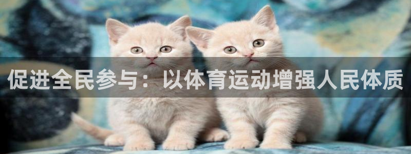 公海赌赌船官方正版app新能源：促进全民参与：以体育运动增强
