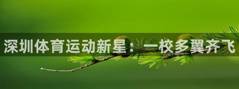 公海赌赌船官方正版app新能源：深圳体育运动新星：一校多翼齐