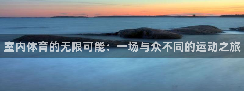 公海赌赌船官方正版app官方：室内体育的无限可能：一场与众不